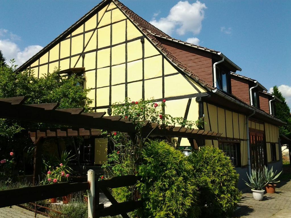 Pension Waldblick Grillenberg  Exterior foto